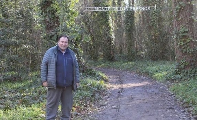 Da del rbol: En 2022 la deforestacin no ha cesado